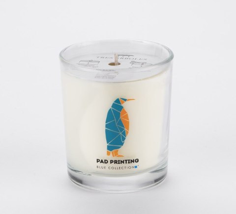 Świeca sojowa 170g - Plum & Patchouli - VERA YOUNG