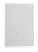 Notes MARIGOLD A5