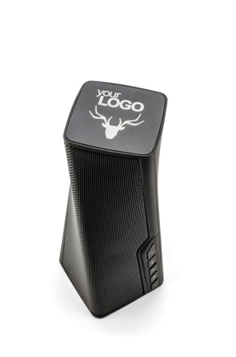 Głośnik bezprzewodowy DUB