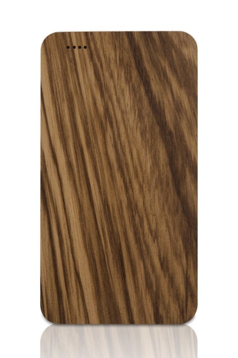 Powerbank VIOUR 4000 mAh