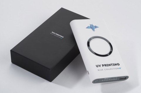 Powerbank DOUBLE 8000 mAh